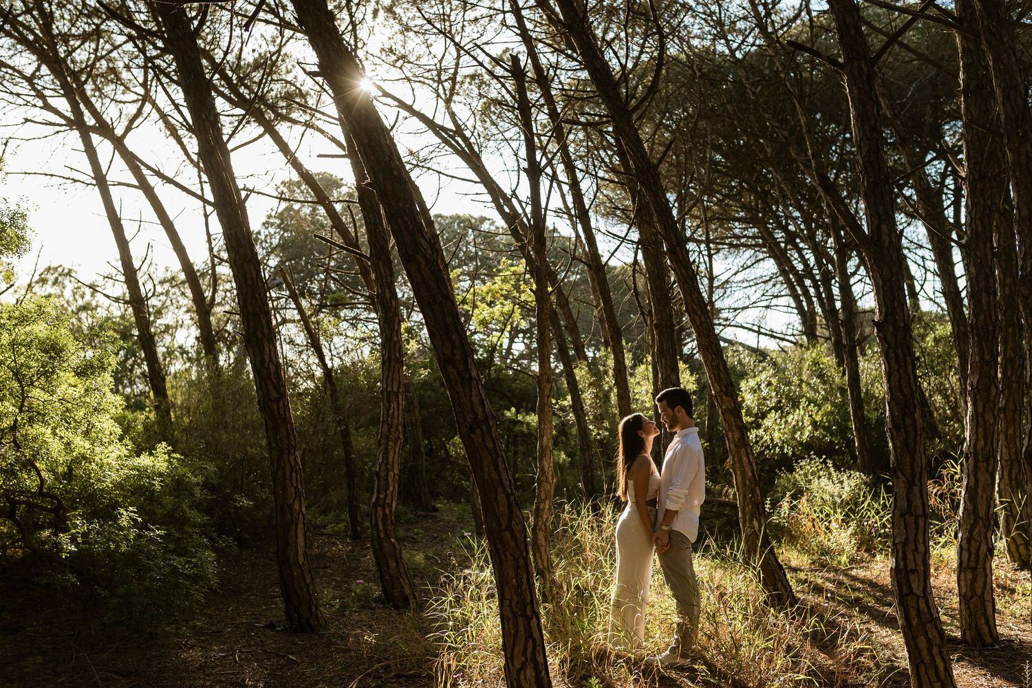 engagement session in Lisbon with couple surrounded by pine trees and golden sunlight