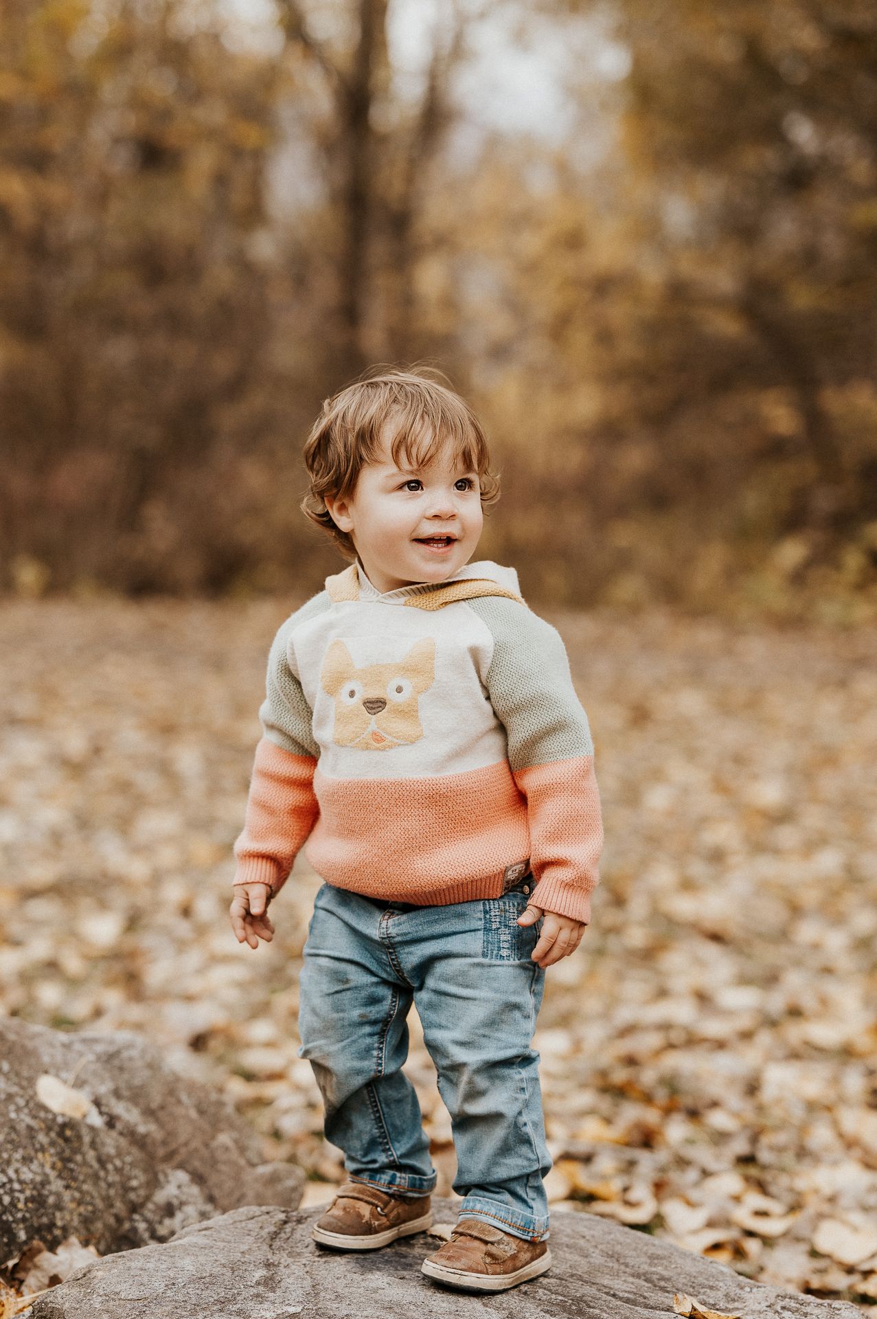 Jeune enfant debout sur un sentier en forêt à l’automne, feuilles au sol. Séance famille sur la Rive-Sud de Montréal.