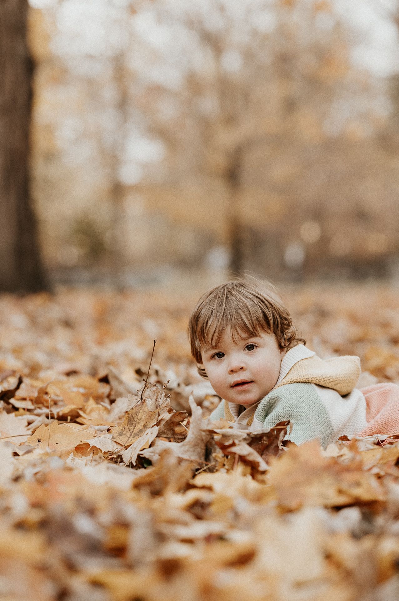Enfants jouant dans les feuilles d’automne en forêt, ambiance chaleureuse et naturelle. Séance photo de famille. Rive-Sud de Montréal.