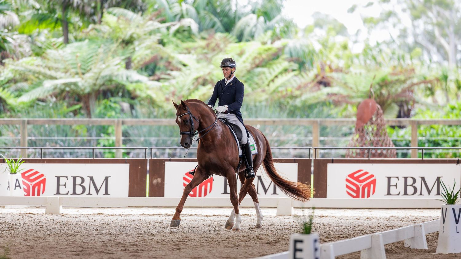 Matthew Lord & Remi Vigneron competing in the CDN Grand Prix at Dressage by the Sea. © Simon Scully, 2026.