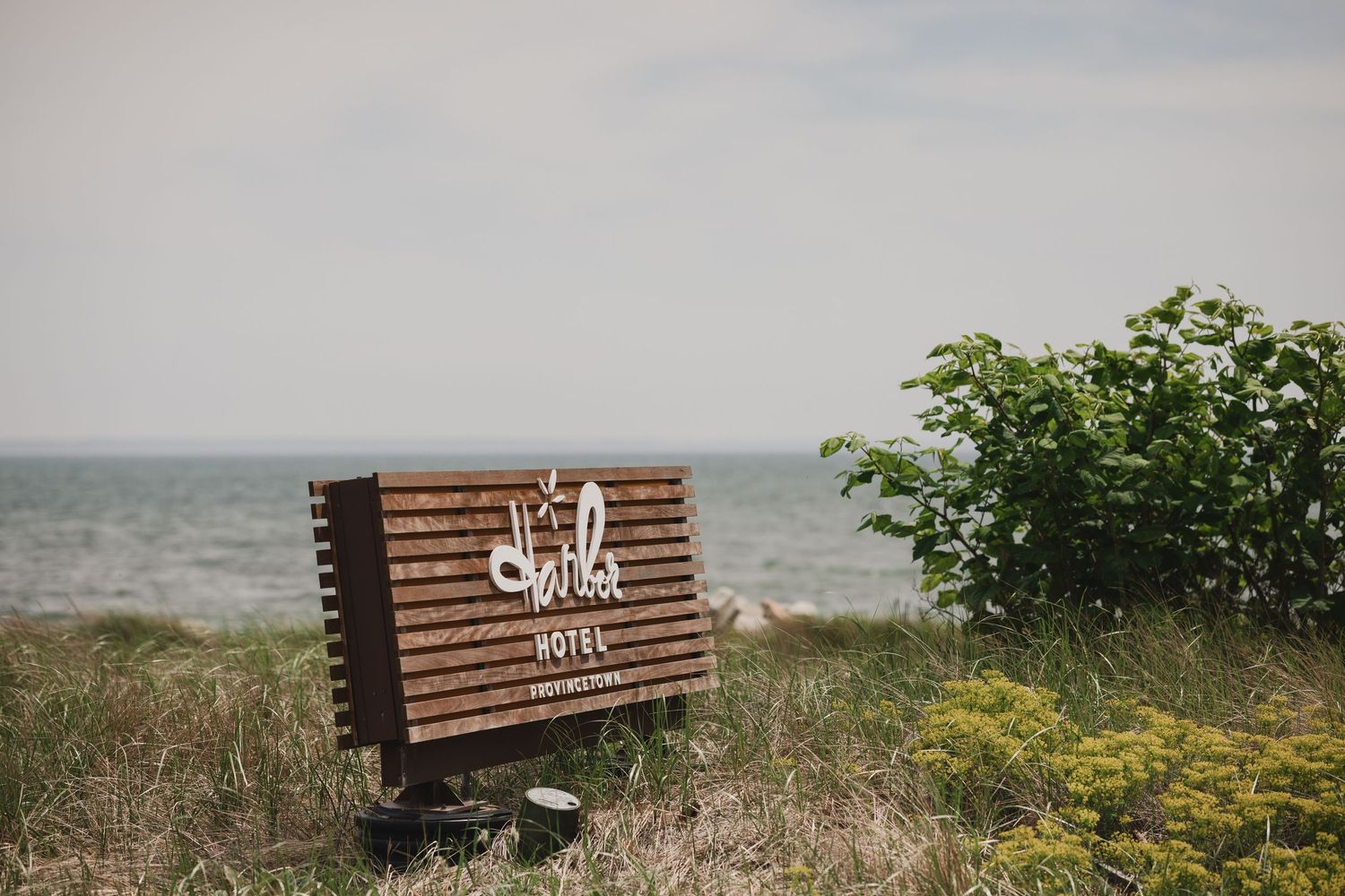 A wooden bench with a hotel sign sits in coastal grass overlooking a calm blue sea with green shrubs nearby.