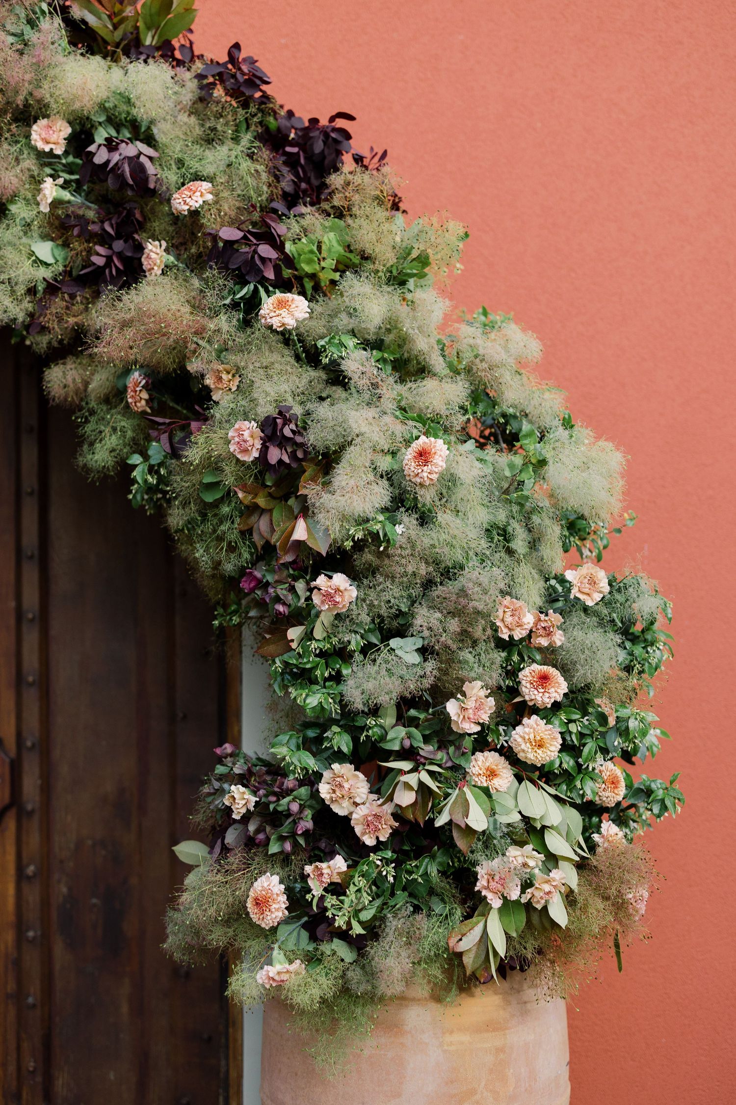 Close-up of peach roses and smoky greenery climbing against a coral-colored wall.