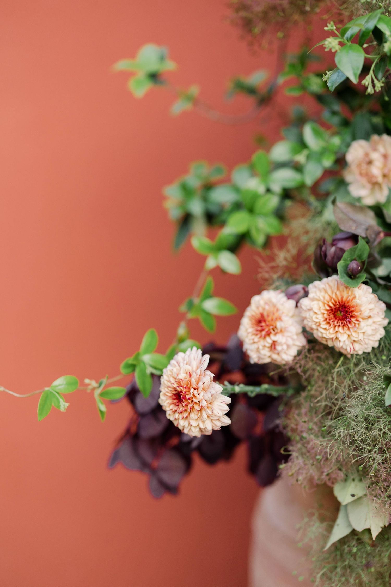 Peach-colored dahlia flowers with delicate green foliage arranged in a floral display against a terracotta wall.