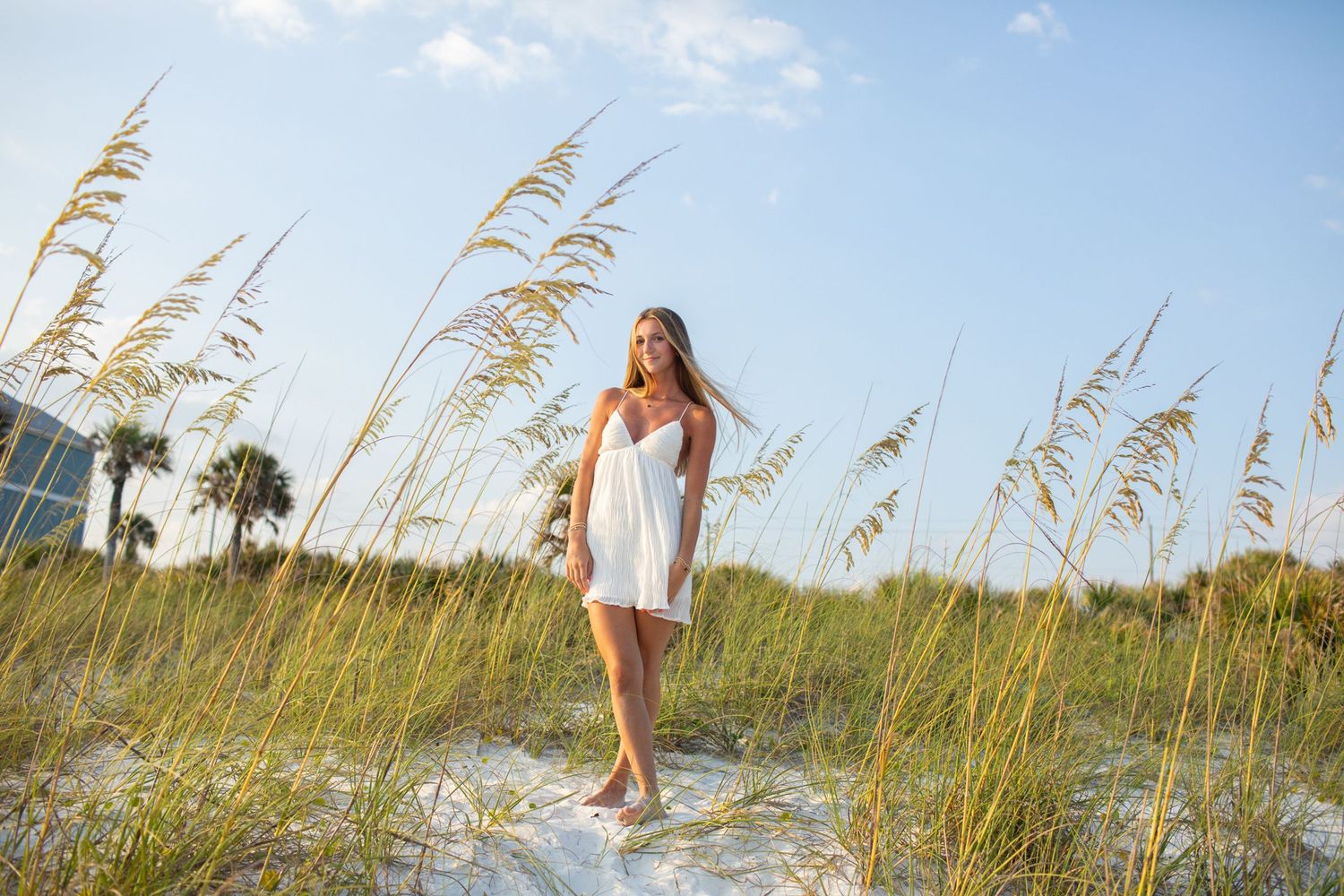 Beach scene with sea oats swaying in the breeze along a sandy shoreline at sunset.
