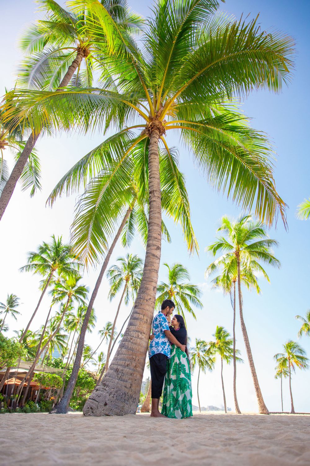 Tall palm trees line a tropical beach with sandy shores under bright blue skies of Waikiki Beach.