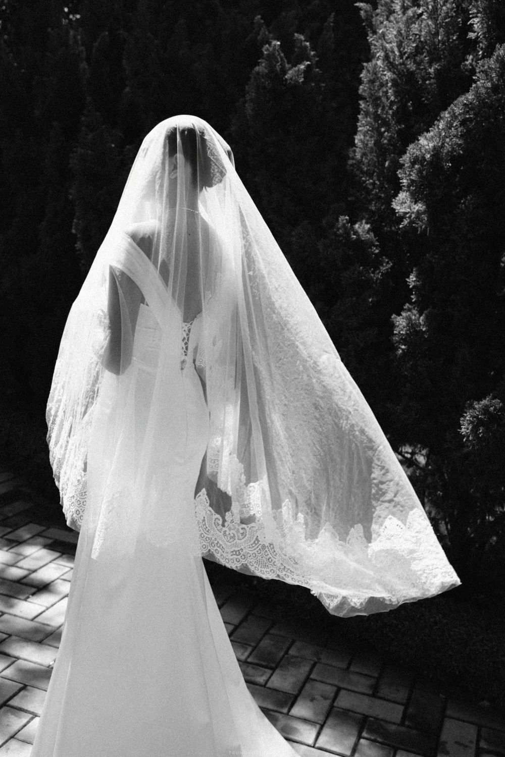 Bride in wedding gown with long lace-trimmed cathedral veil viewed from behind near tall cypress trees.