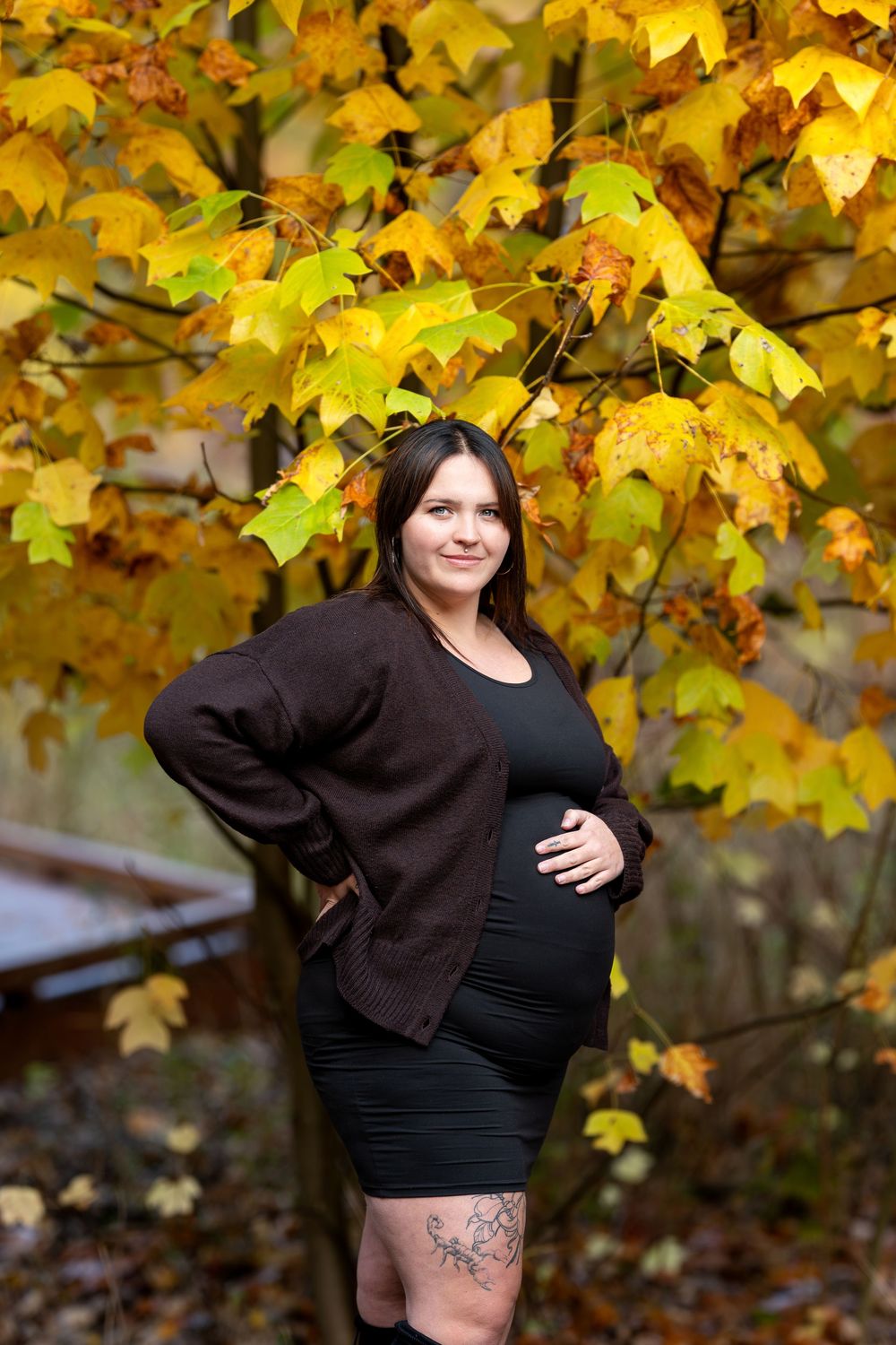 Pregnant woman in black dress cradles baby bump beside vibrant yellow autumn maple tree.
