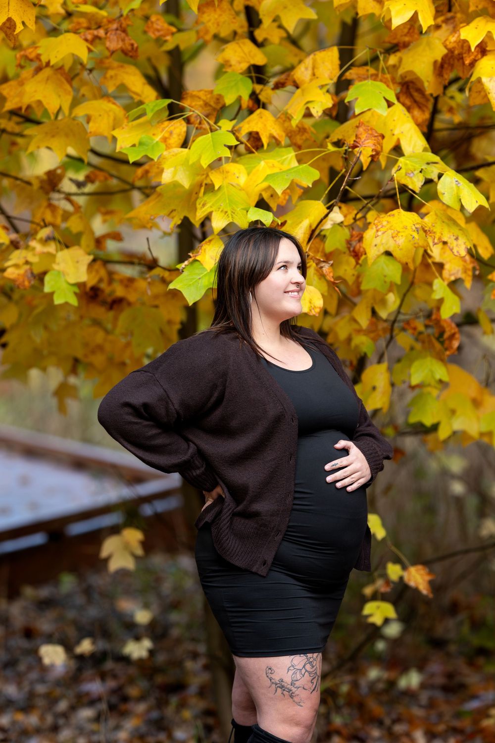 Pregnant woman in black dress and brown cardigan smiles sideways under golden fall maple tree.