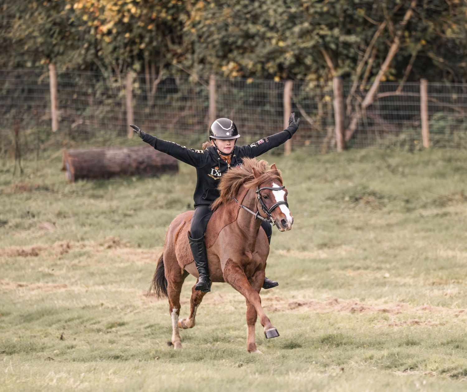 A series of photos showing a horse and rider enjoying a playful gallop through a grassy field.