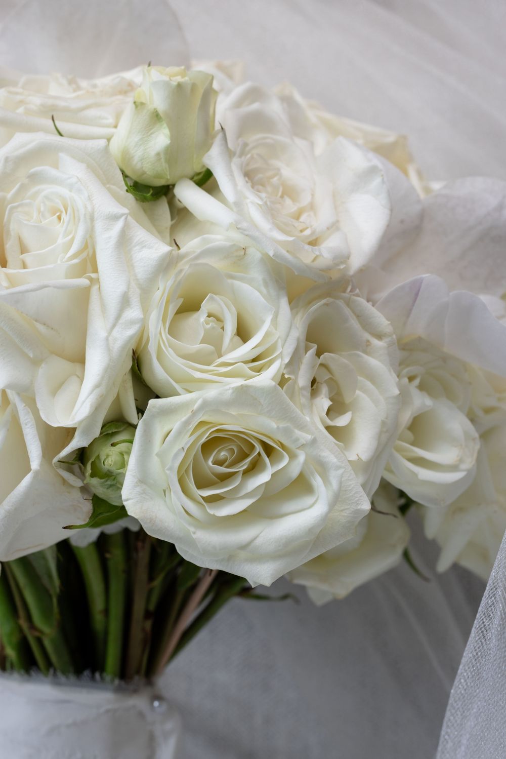 Close-up of an elegant bridal bouquet featuring white roses with green stems wrapped in sheer white ribbon.