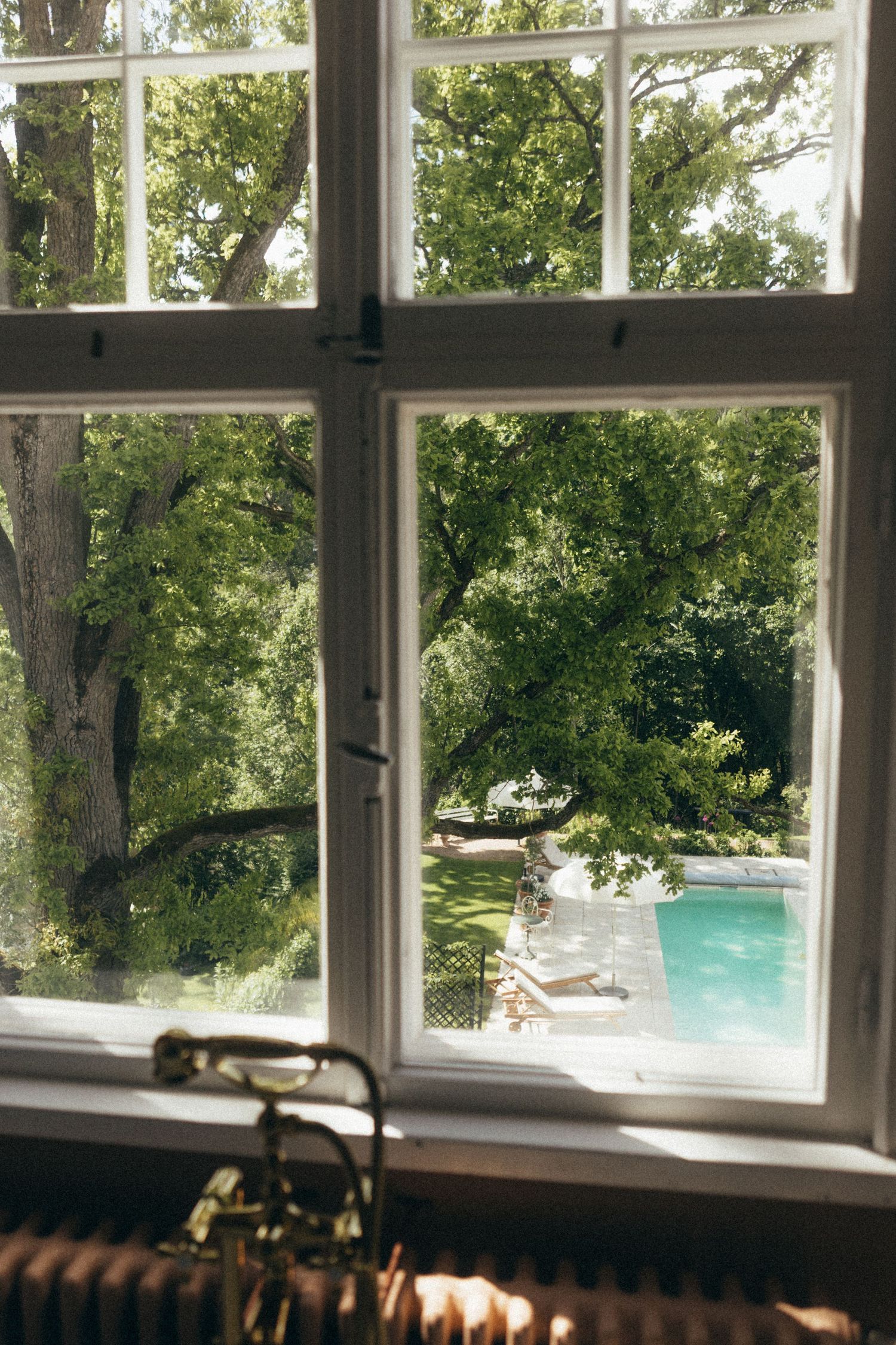 Sunlight streams through a row of white-framed windows overlooking lush green trees and a swimming pool outside.