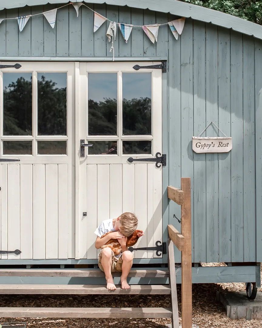 Young child sitting on wooden steps of a pale blue beach hut holding a chicken on a sunny day.