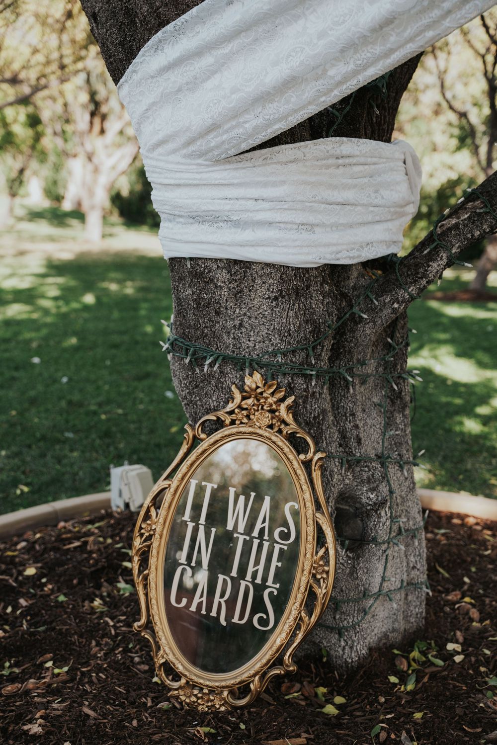 Four vintage gold frames with white text spelling out 'We Are The Wilds' lean against a tree trunk in a garden setting.