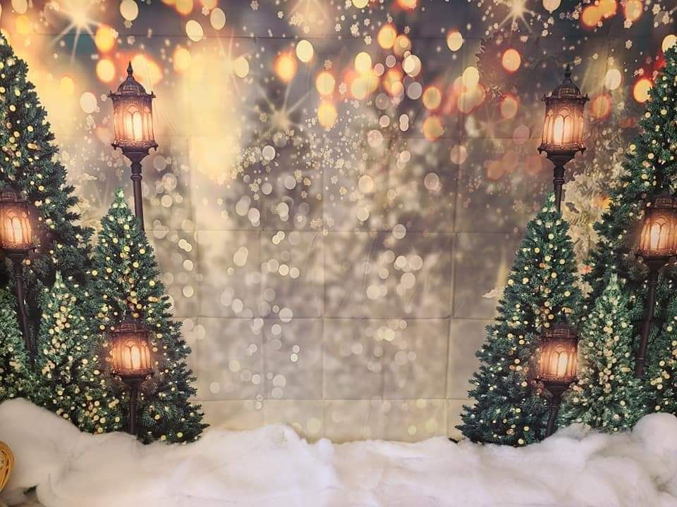 Minimalist wall-mounted Christmas tree made of wooden branches with rustic ornaments and star topper.