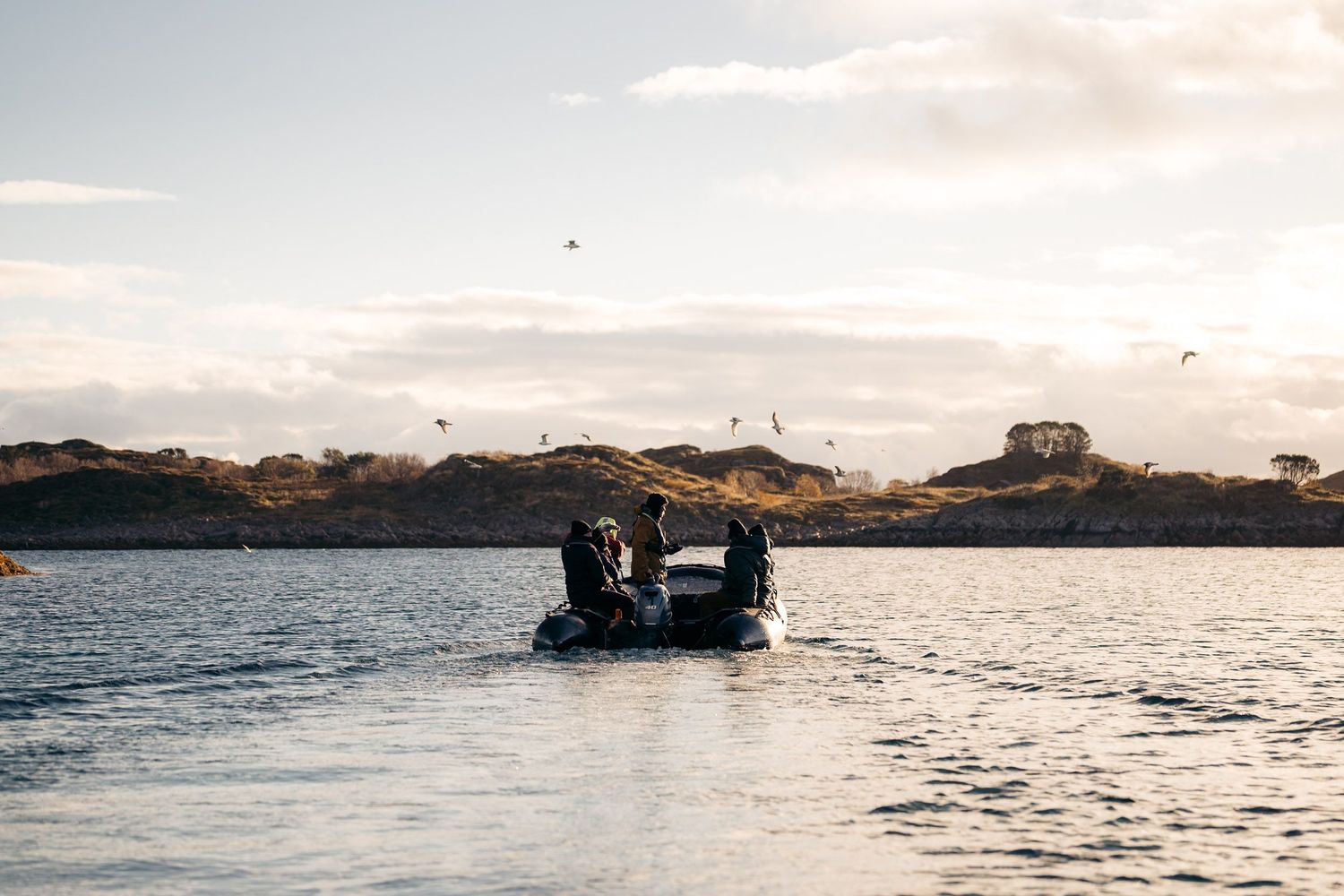 zodiac dans l'archipel de skrova dans les îles lofoten au coucher du soleil avec des oiseaux au-dessus