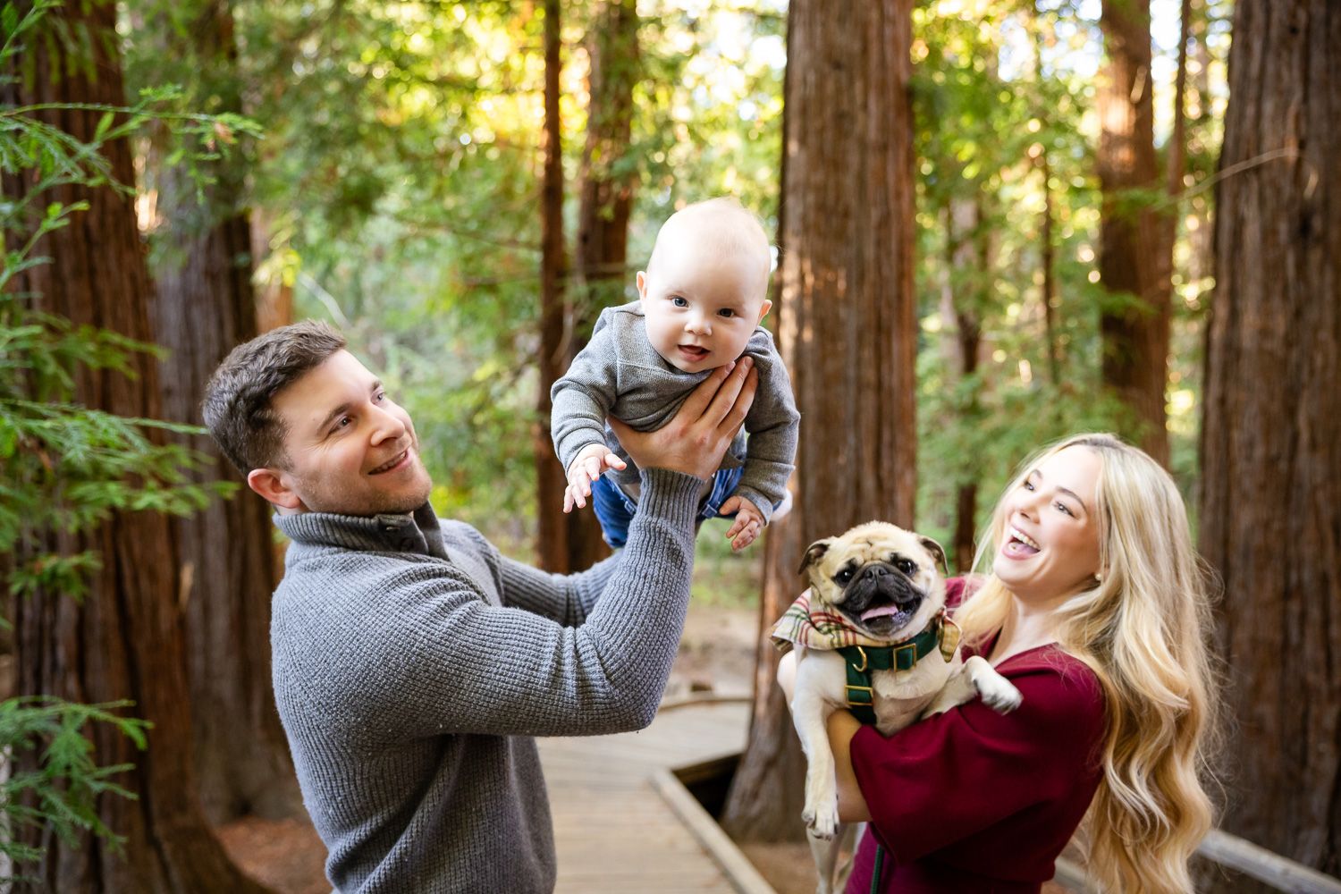 Family and their pug dog enjoy a playful moment together while walking through a redwood forest path in Los Altos