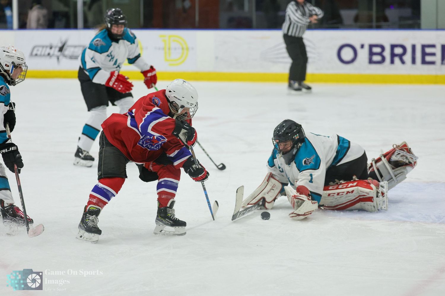 Ice hockey players from opposing teams battle for the puck during an intense game near the boards.