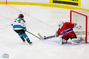 Hockey goalie makes a diving save while sprawled out on the ice during an intense game.