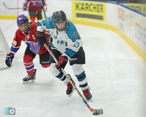 Hockey players from opposing teams battle for control of the puck during an intense game on the ice.