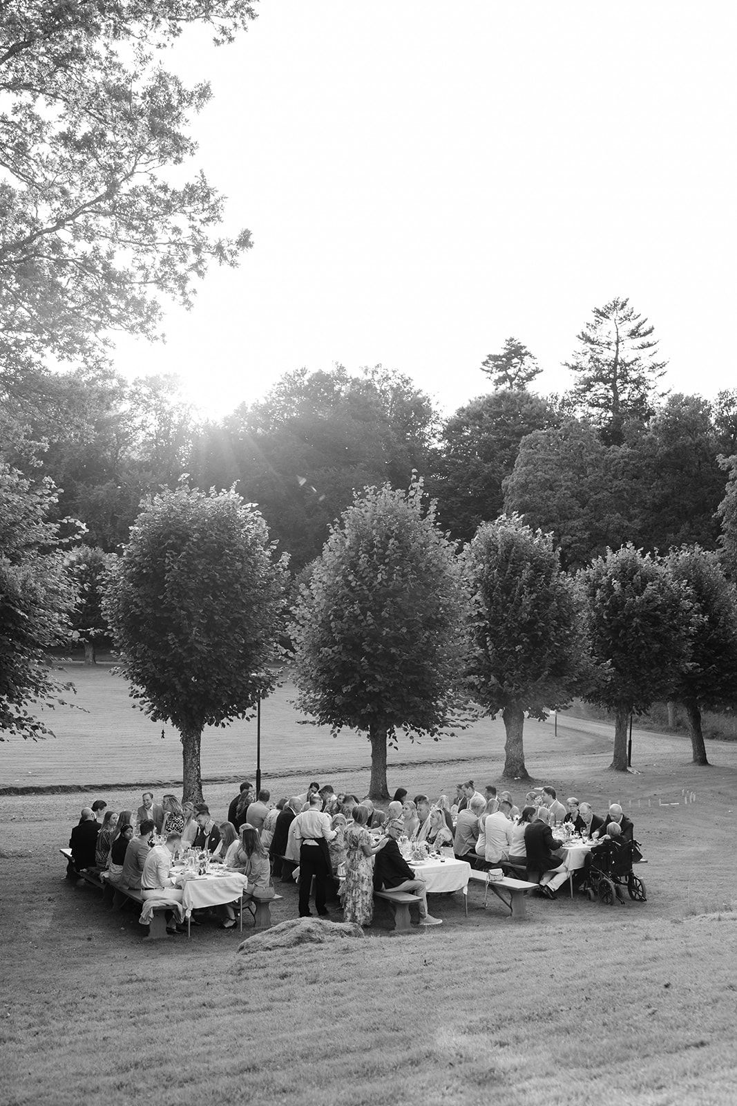 People gather for an outdoor dinner party at long tables beneath a row of manicured trees at sunset in a peaceful park setting.