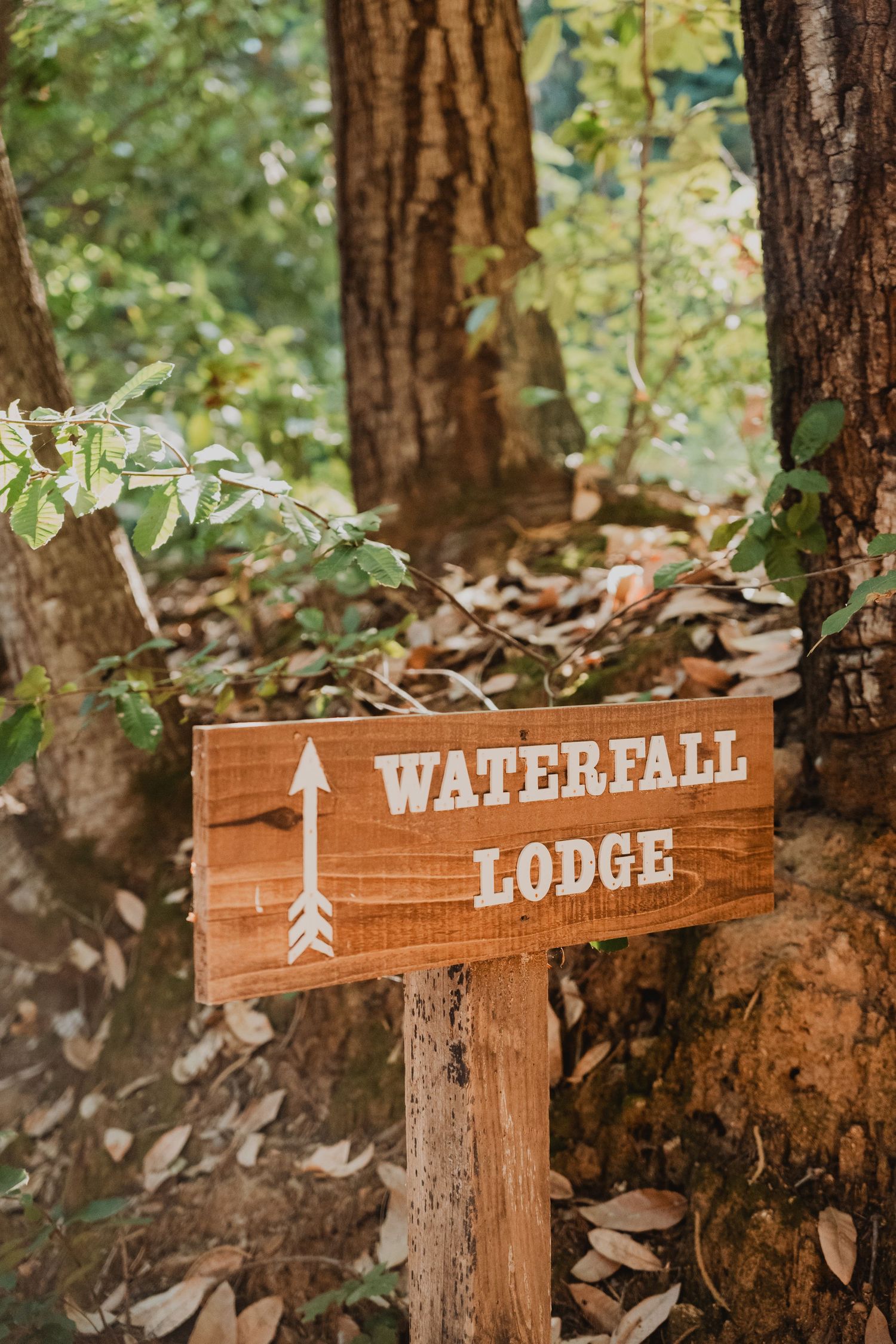santa cruz wedding venues waterfall
