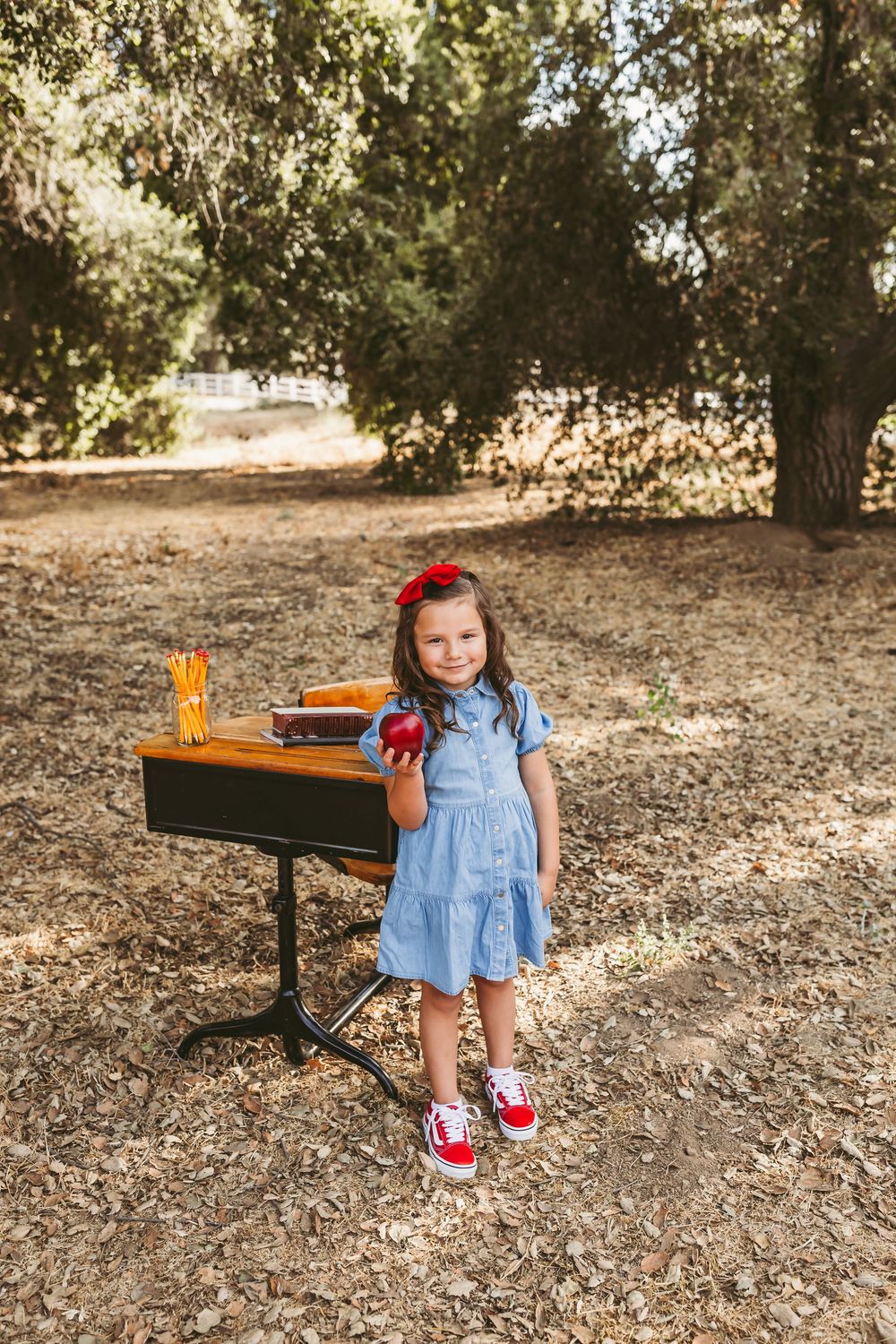 Vintage wooden school desk placed outdoors in a wooded area with dappled sunlight.