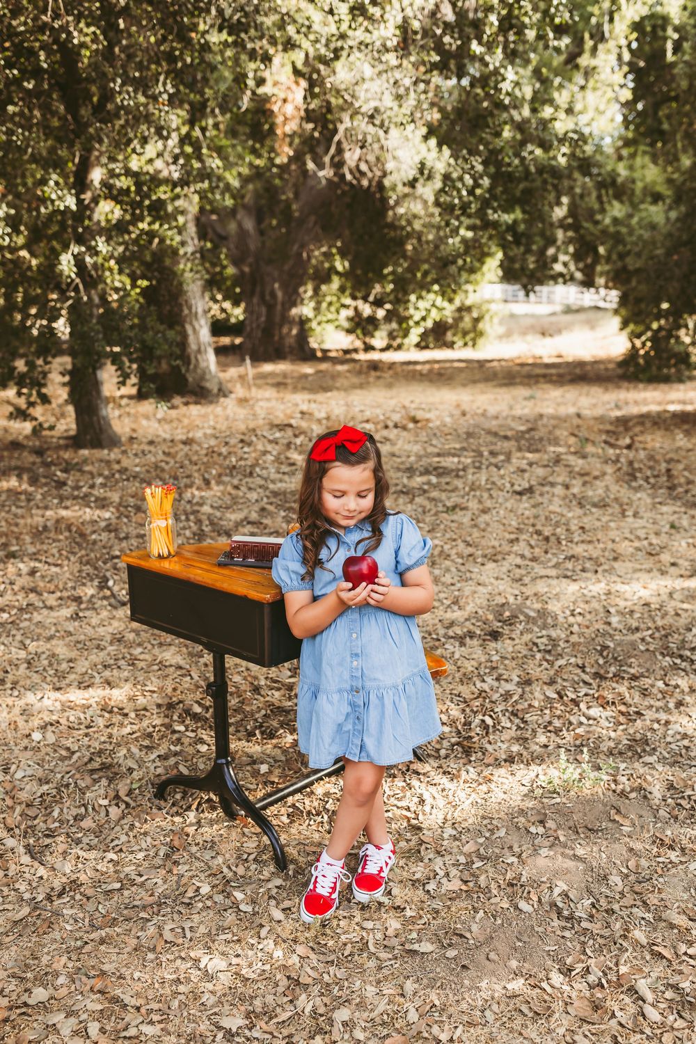 Vintage-style classroom desk scene in natural setting with school supplies and golden afternoon light.