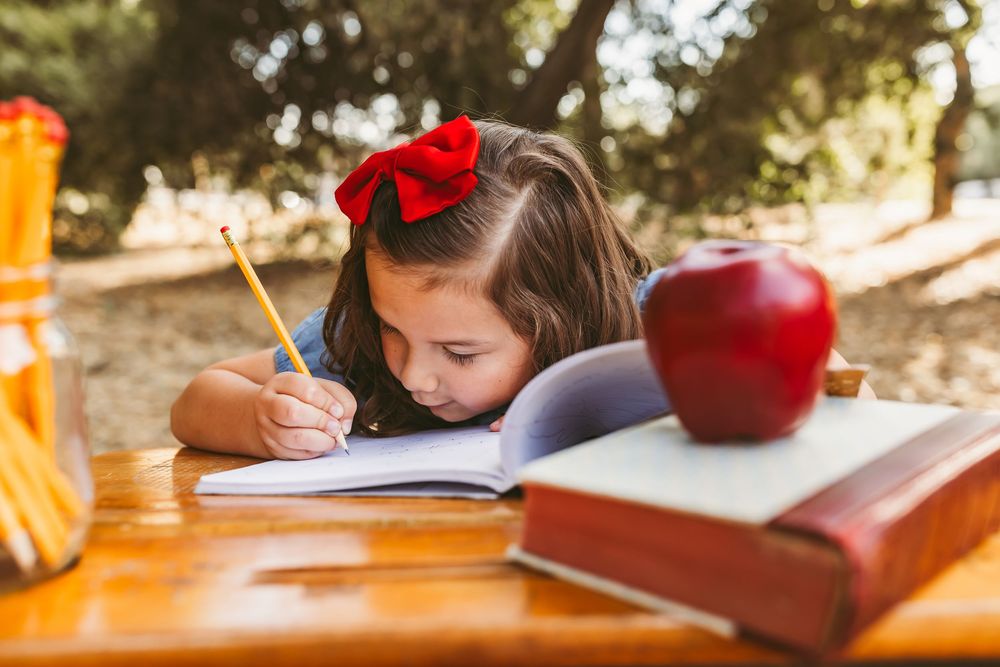 Open textbooks and school supplies on rustic wooden table with warm sunlight filtering through.