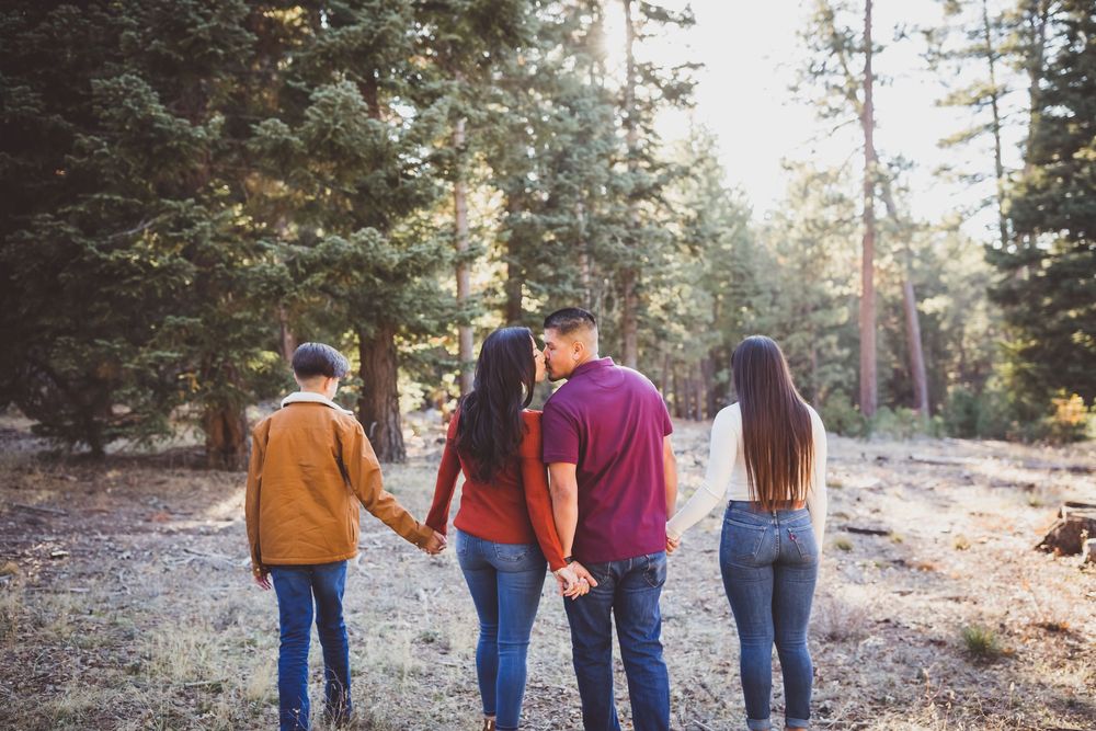Back view of people walking along a forest trail surrounded by tall pine trees.
