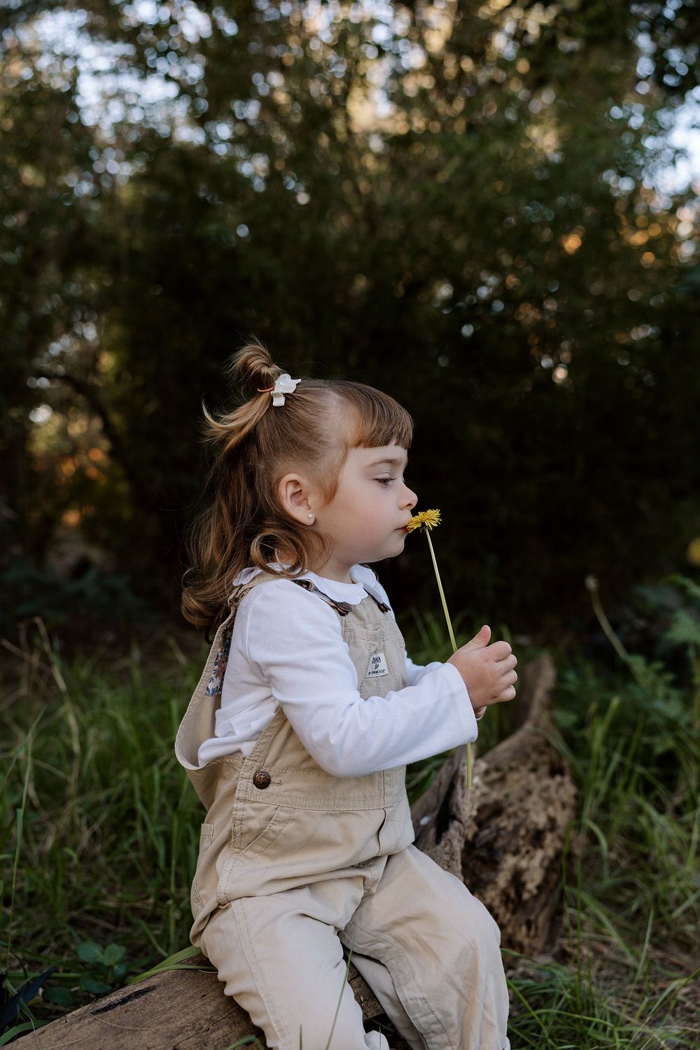 A child wearing beige overalls and white shirt sits in an outdoor setting blowing on a dandelion seed head.