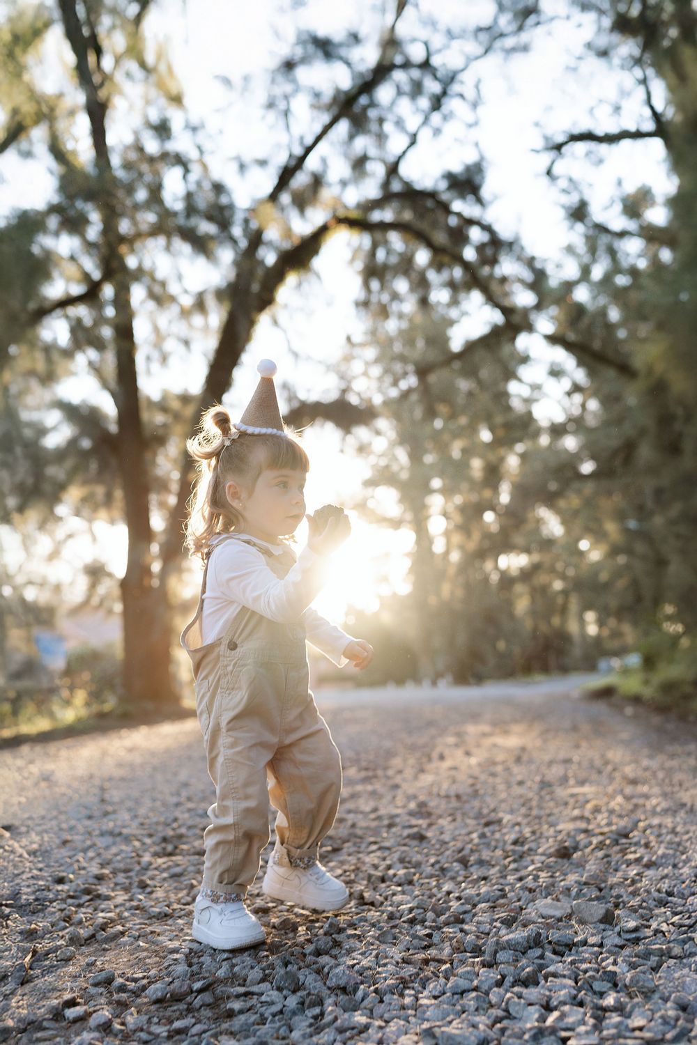 A small toy gnome figure sits on a rocky path as golden sunlight filters through trees in the background.