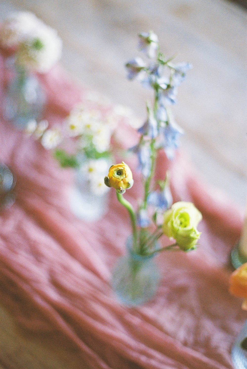 Delicate spring flowers in soft focus with yellow ranunculus and blue blooms arranged in small vases on a pink surface.