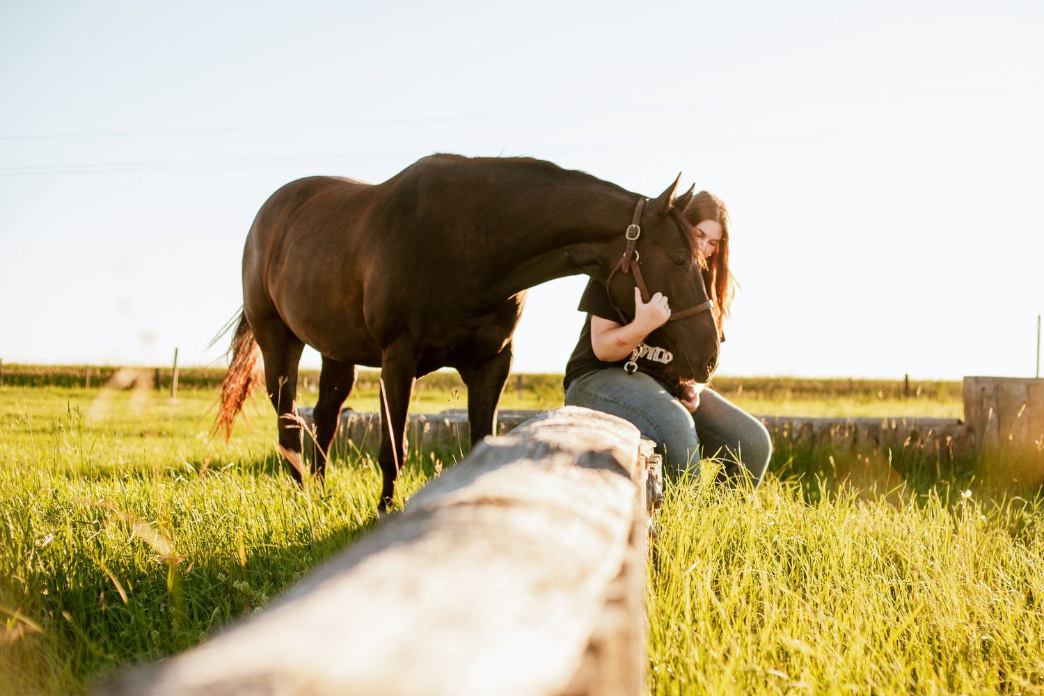 horse and rider photographer