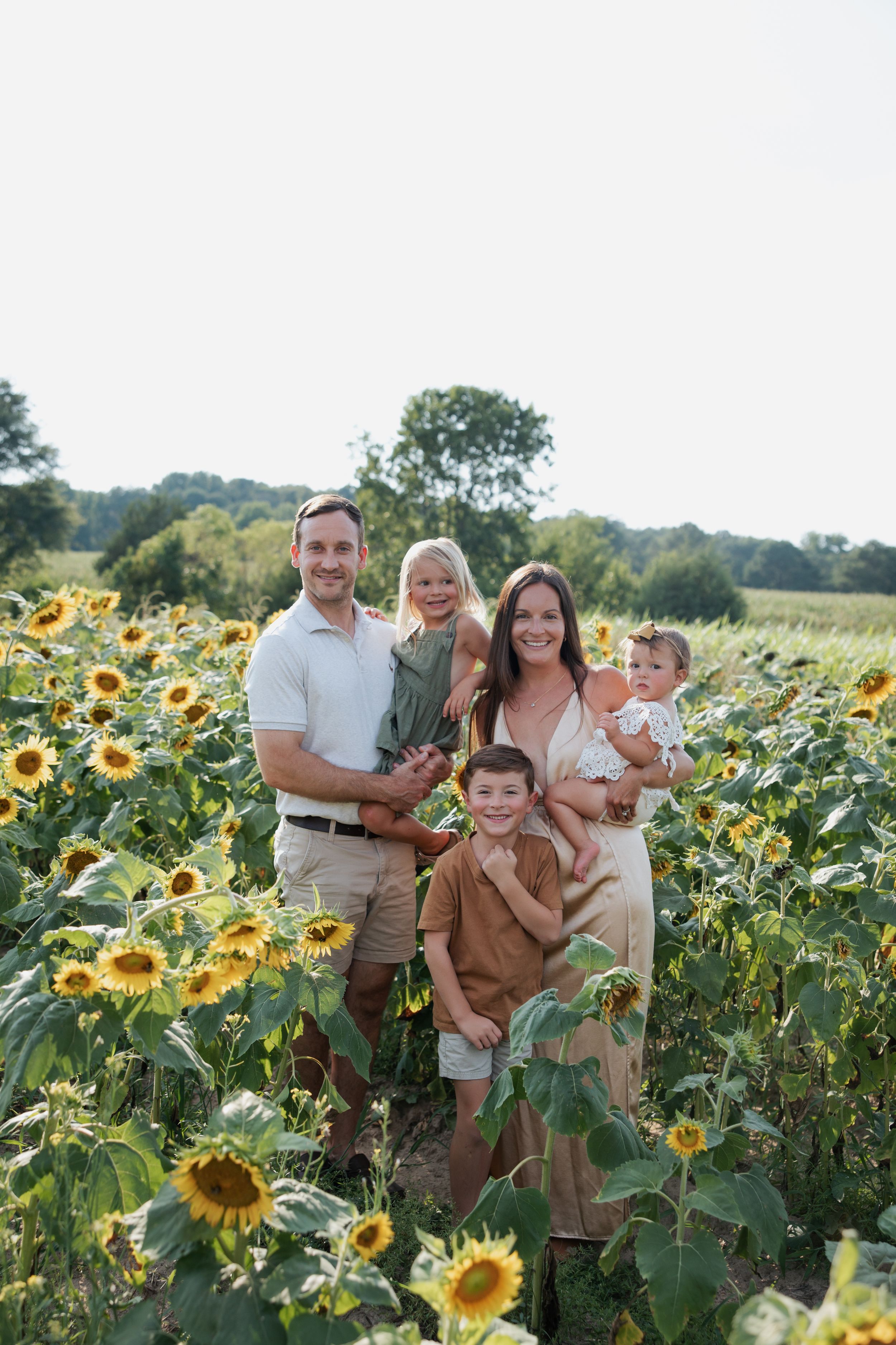 sunflower family session
