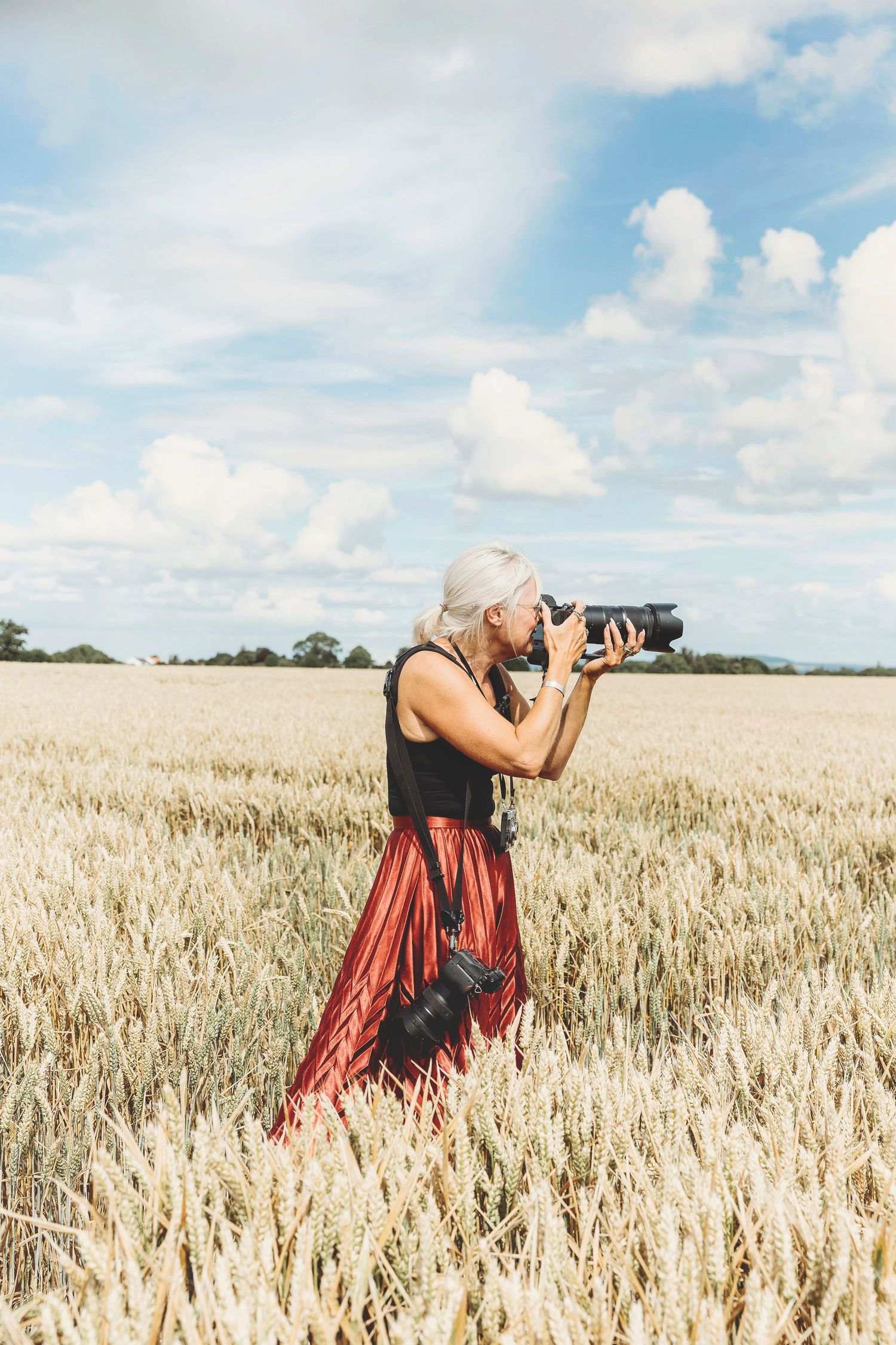 Photographer in red dress taking pictures in golden wheat field under blue sky.