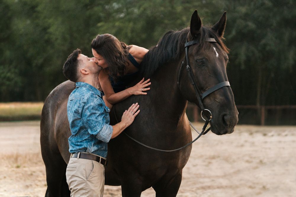 A couple shares a moment with a dark horse during an outdoor photoshoot in Sydney
