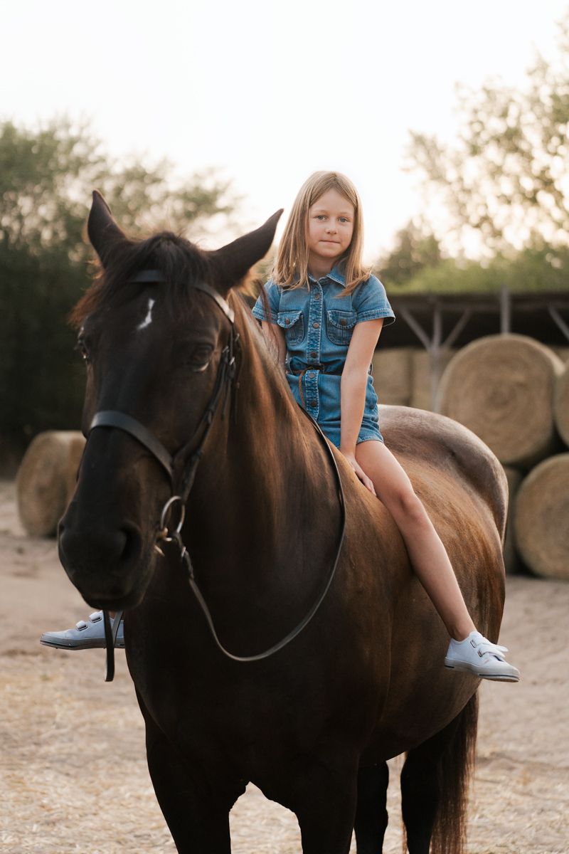 Young  girl rider sitting on a dark brown horse in an outdoor setting during golden hour equine photoshoot in Sydney