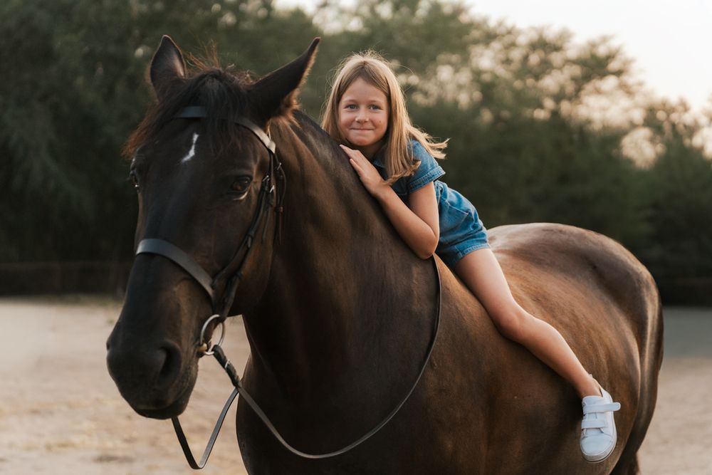 Girl sitting on a horse at sunset during an outdoor photo session with a brown horse in Sydney