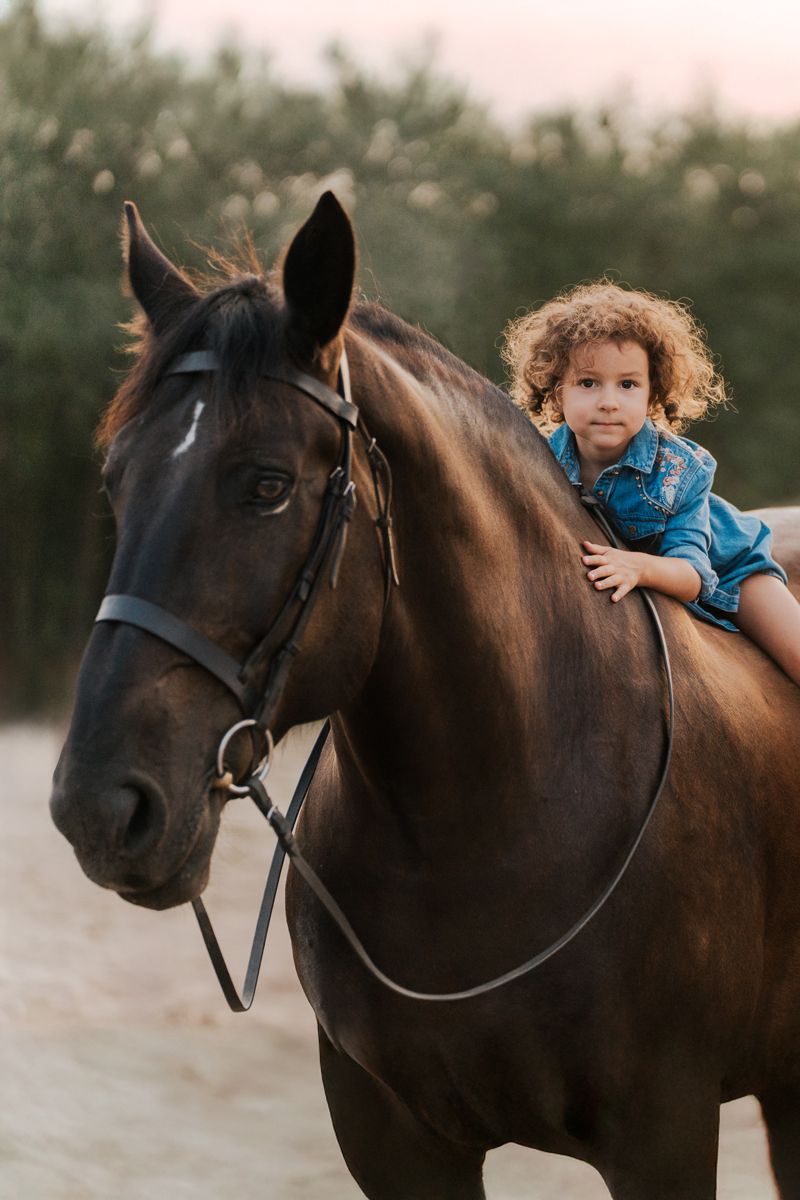 A dark brown horse with a small rider sitting on its back in an outdoor setting at dusk during an equine photoshoot in Sydney