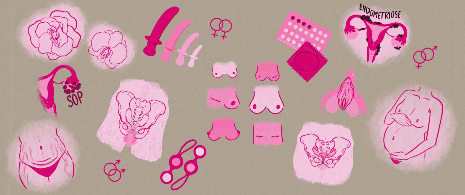 Decorative pink illustrations and patterns arranged in a horizontal banner design.