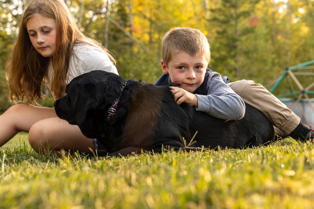A row of candid photos showing relaxed poses on grass with autumn foliage in the background.