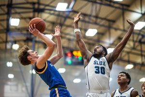 Basketball blocked shot