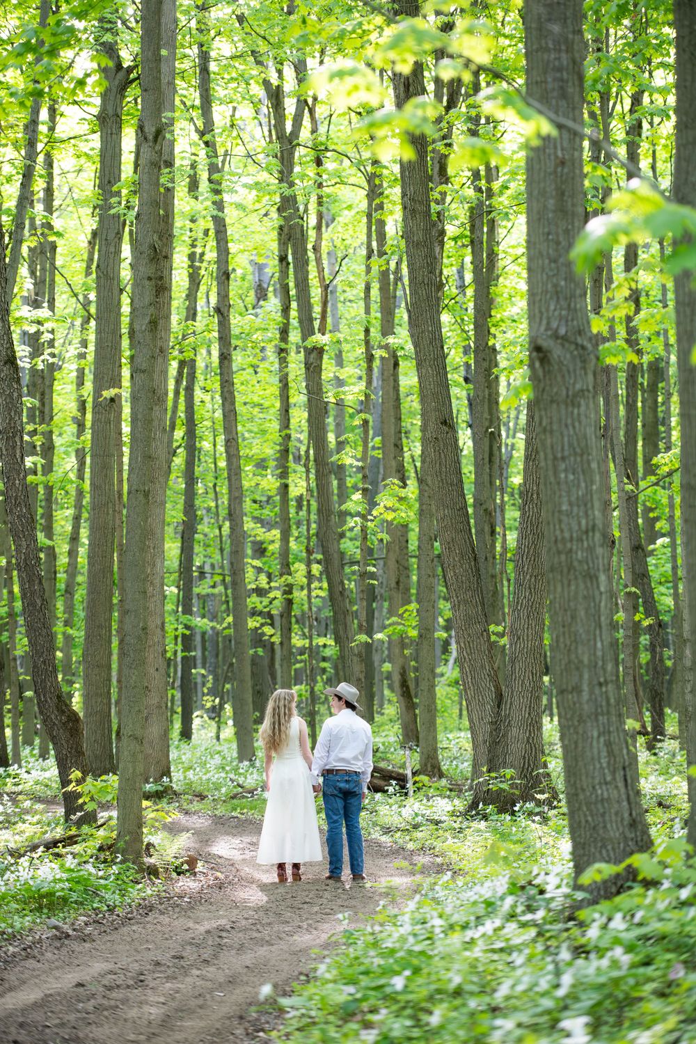 People walking on a tranquil forest trail surrounded by tall trees and lush green foliage in summer.