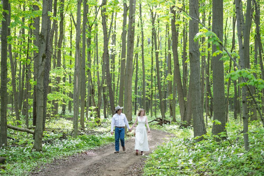 Panoramic view of people walking along a green wooded trail surrounded by tall trees and lush vegetation.