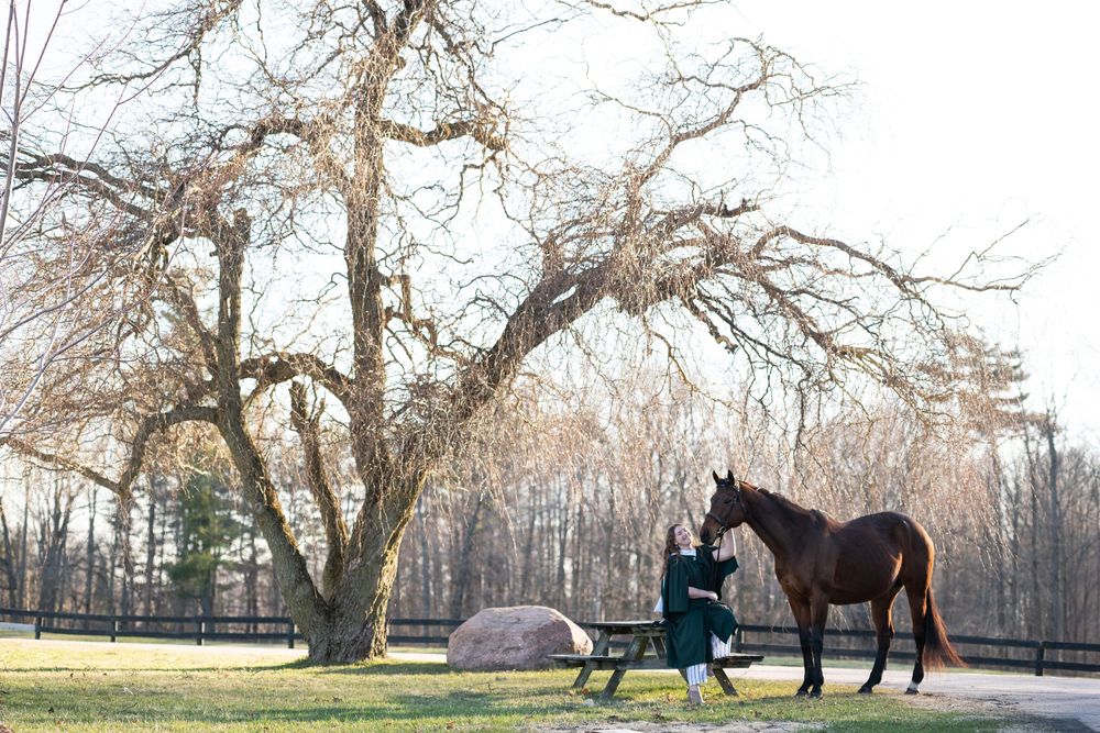 A horse being ridden in circles in a sandy arena with tall bare trees visible in the background.