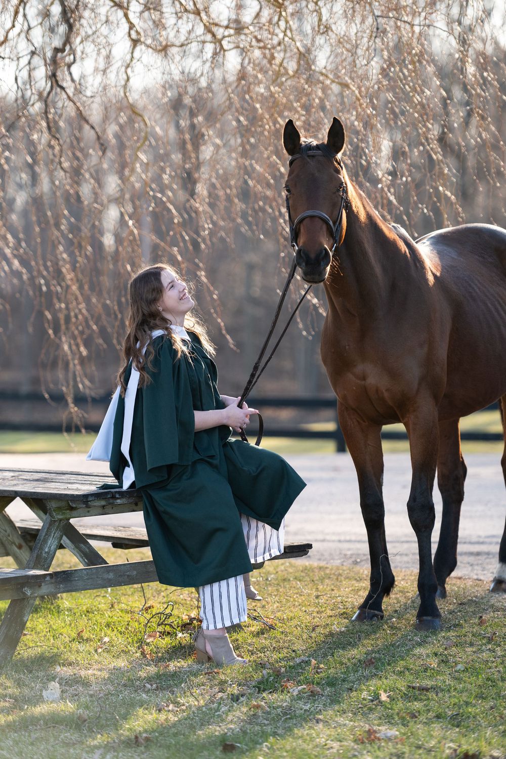 A sequence of outdoor photos showing a person in a green coat interacting with a brown horse in a grassy field.