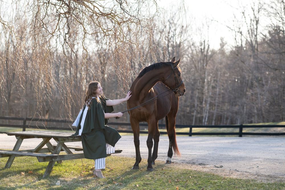 Chestnut horse stands beside picnic table on grassy field during sunset with magical golden light in background.