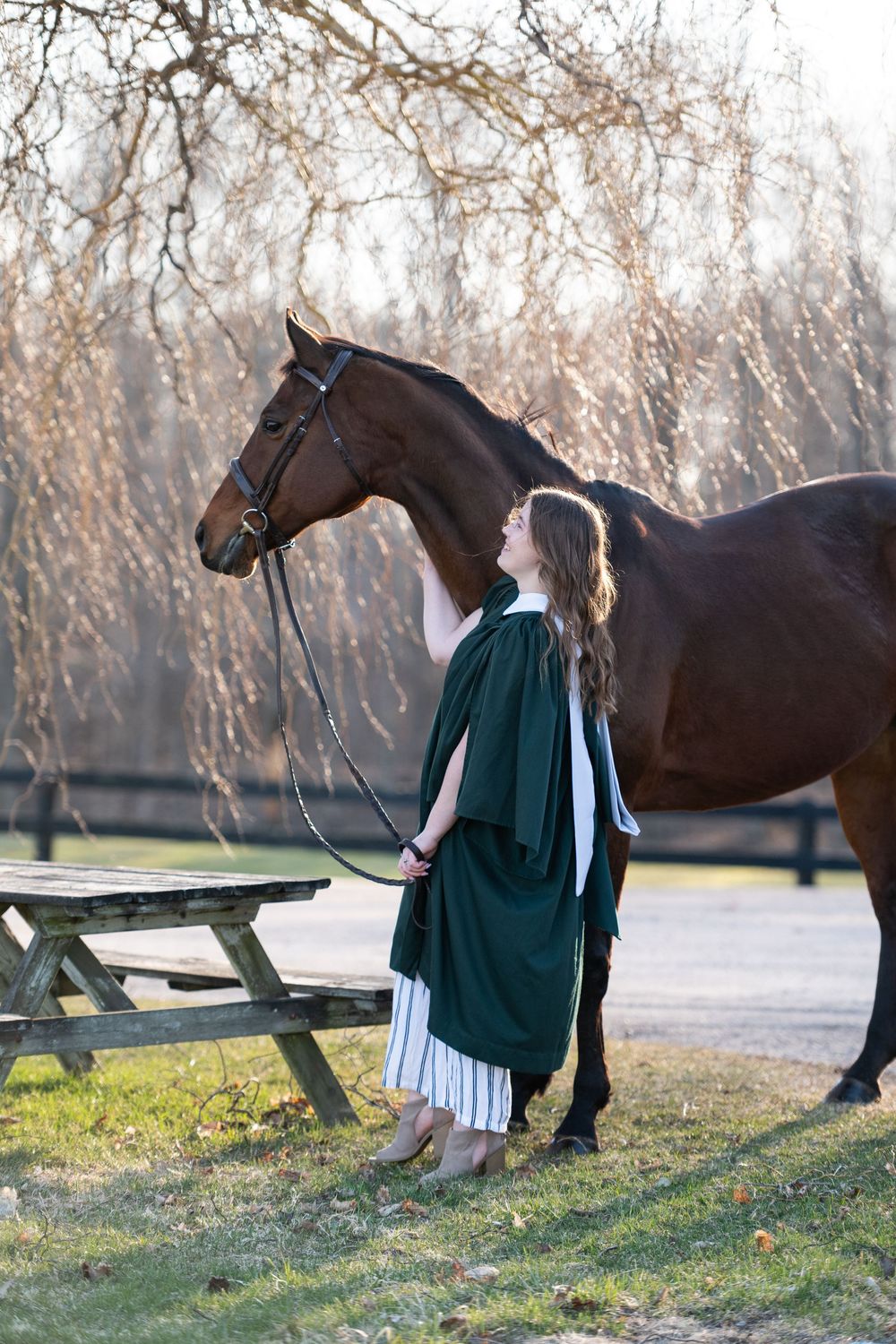 A serene outdoor photoshoot featuring a dark horse and someone wearing a green sweater on a grassy field at dusk.