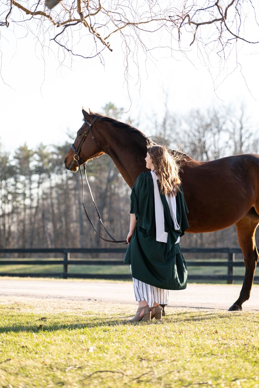 A beautiful brown horse and its companion stand together in a sunlit field during golden hour.
