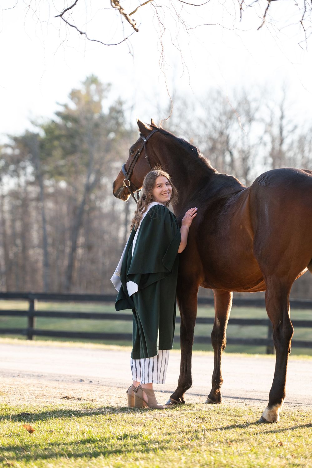 Person in green sweater shares tender moment with majestic brown horse in grassy field.